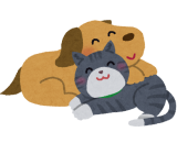 心の講座 嫌いな人 心の講座 嫌いな人