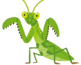 運動プログラム　１１月１０日